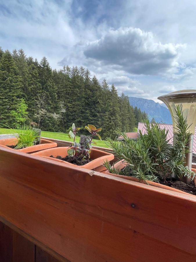 Ferienhaus Praschberg Niederndorferberg Εξωτερικό φωτογραφία