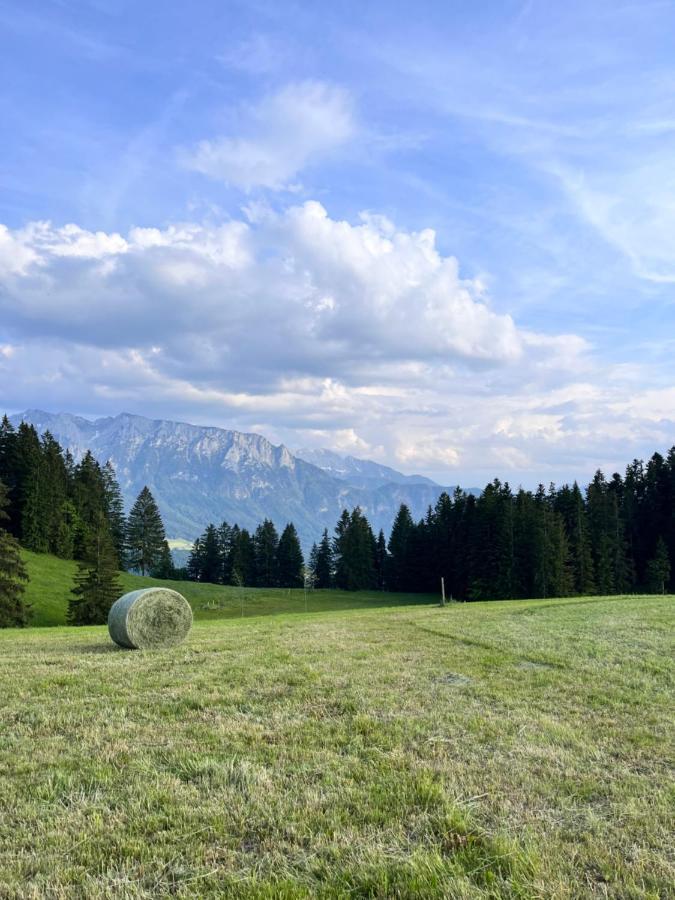 Ferienhaus Praschberg Niederndorferberg Εξωτερικό φωτογραφία